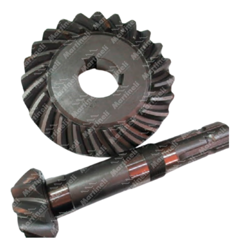 Conjunto Pinhão e Coroa